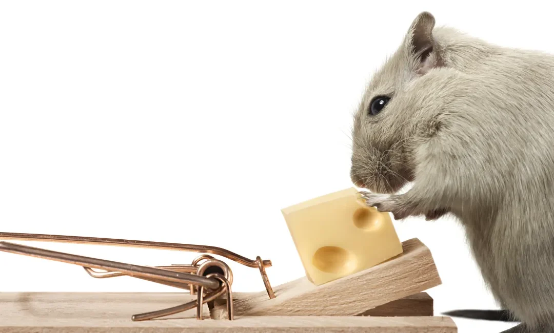 “Savings” That Could Cost You EVERYTHING